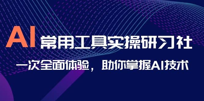 AI-常用工具实操研习社，一次全面体验，助你掌握AI技术-多米来