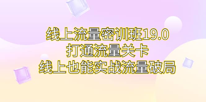 线上流量密训班19.0，打通流量关卡，线上也能实战流量破局-多米来