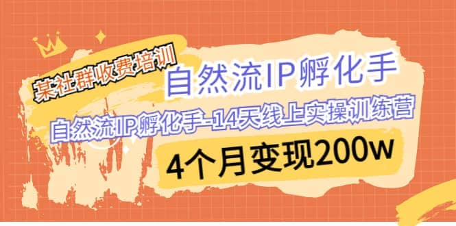 某社群收费培训：自然流IP 孵化手-14天线上实操训练营 4个月变现200w-多米来