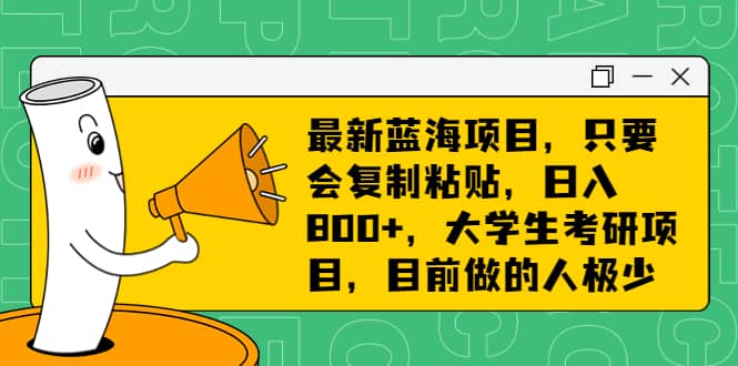 最新蓝海项目，只要会复制粘贴，日入800 ，大学生考研项目，目前做的人极少-多米来