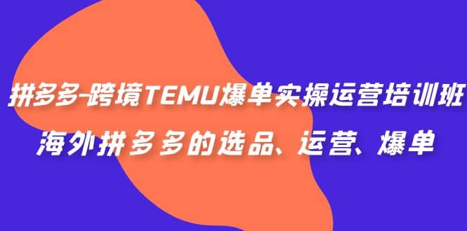 拼多多-跨境TEMU爆单实操运营培训班，海外拼多多的选品、运营、爆单-多米来