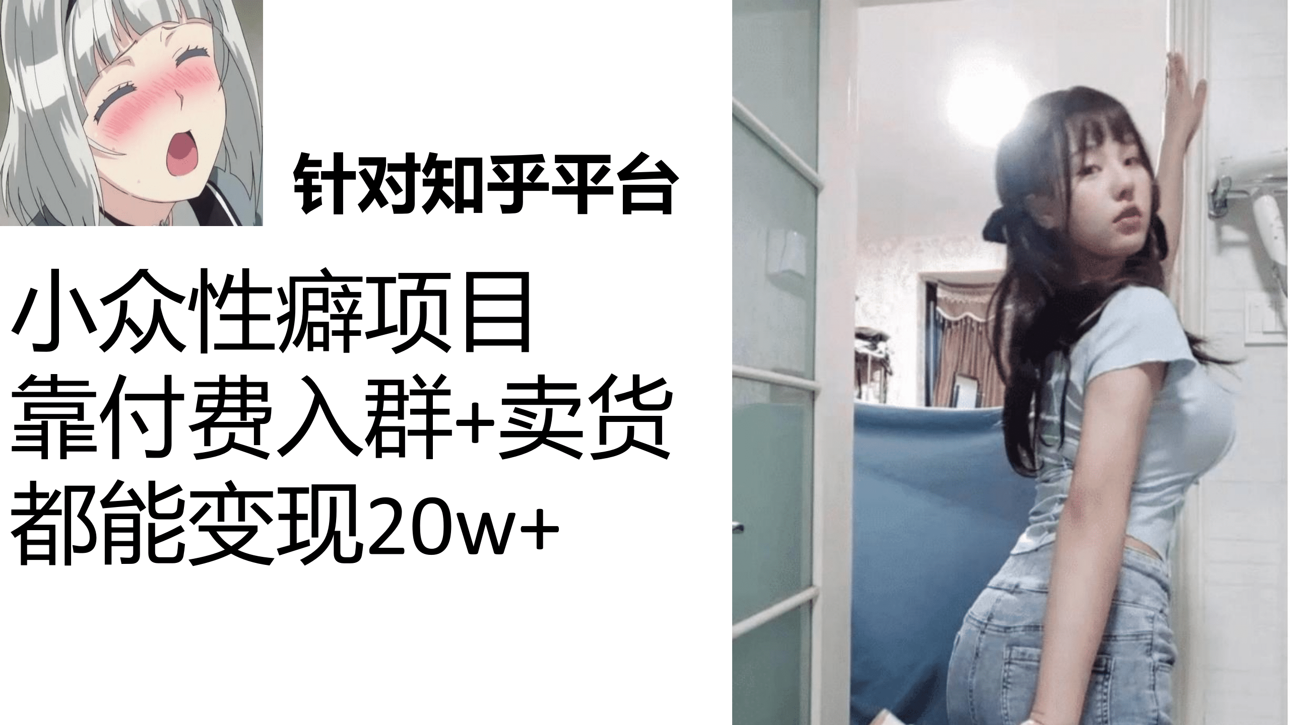 知乎小众性癖项目，Lsp的钱才是最好赚的，付费建群 卖货变现20w-多米来