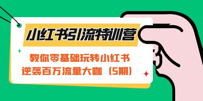 小红书引流特训营-第5期：教你零基础玩转小红书，逆袭百万流量大咖-多米来