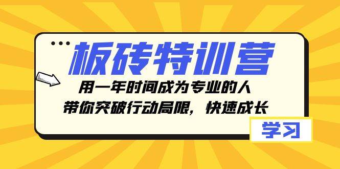 板砖特训营，用一年时间成为专业的人，带你突破行动局限，快速成长-多米来